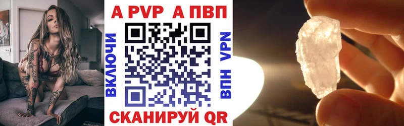Альфа ПВП СК КРИС  Кореновск 