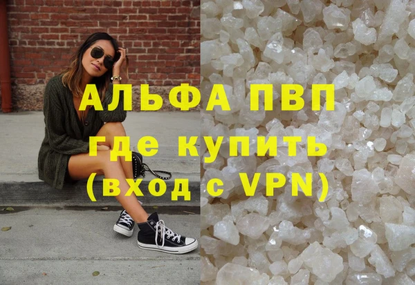 гашик Сатка
