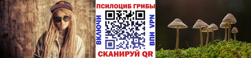 Псилоцибиновые грибы Psilocybe  где продают   Кореновск 