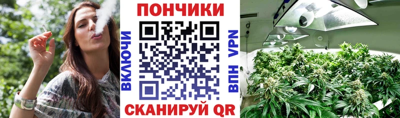 Конопля Bruce Banner  где можно купить   Кореновск 